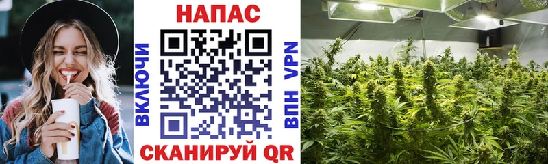 Виды наркотиков купить Баймак МЕГА онион A-PVP Гашиш Канабис Мефедрон Кокаин