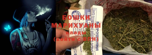 гашик Арсеньев