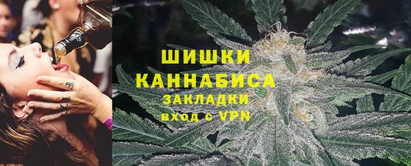 гашик Арсеньев