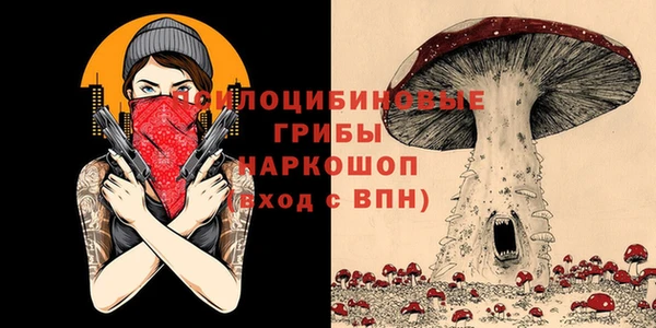 ECSTASY Армянск