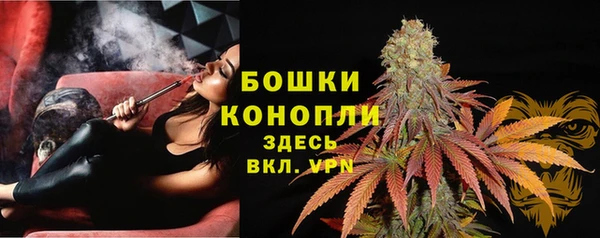 гашик Арсеньев